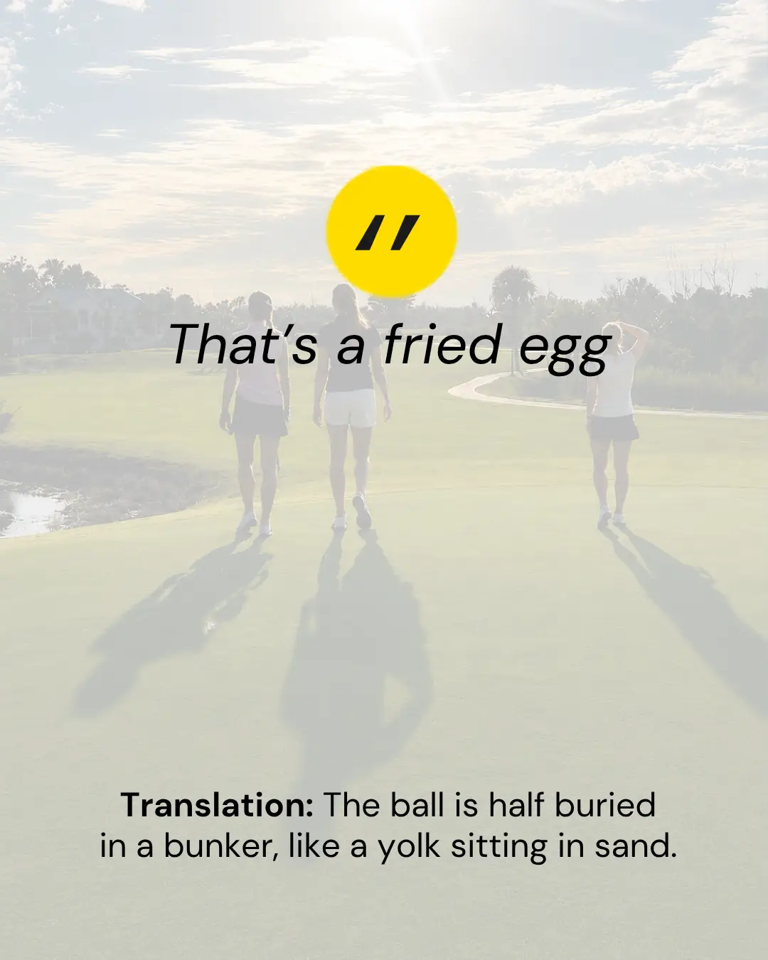 That’s a Fried Egg
